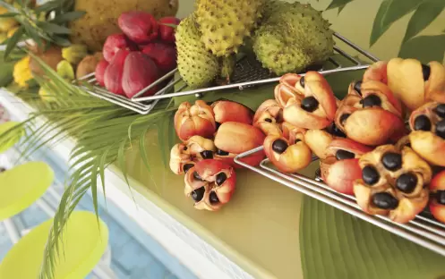 Couples Sans Souci-Veggie Bar_116